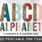 Half Leopard Alphabet Letters Bundle