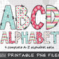 Winter Alphabet Letters