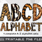 jungle animals alphabet png