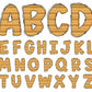 summer alphabet letters