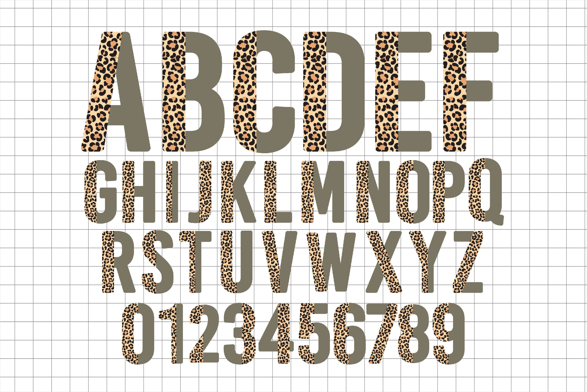 Half Leopard Print Letters